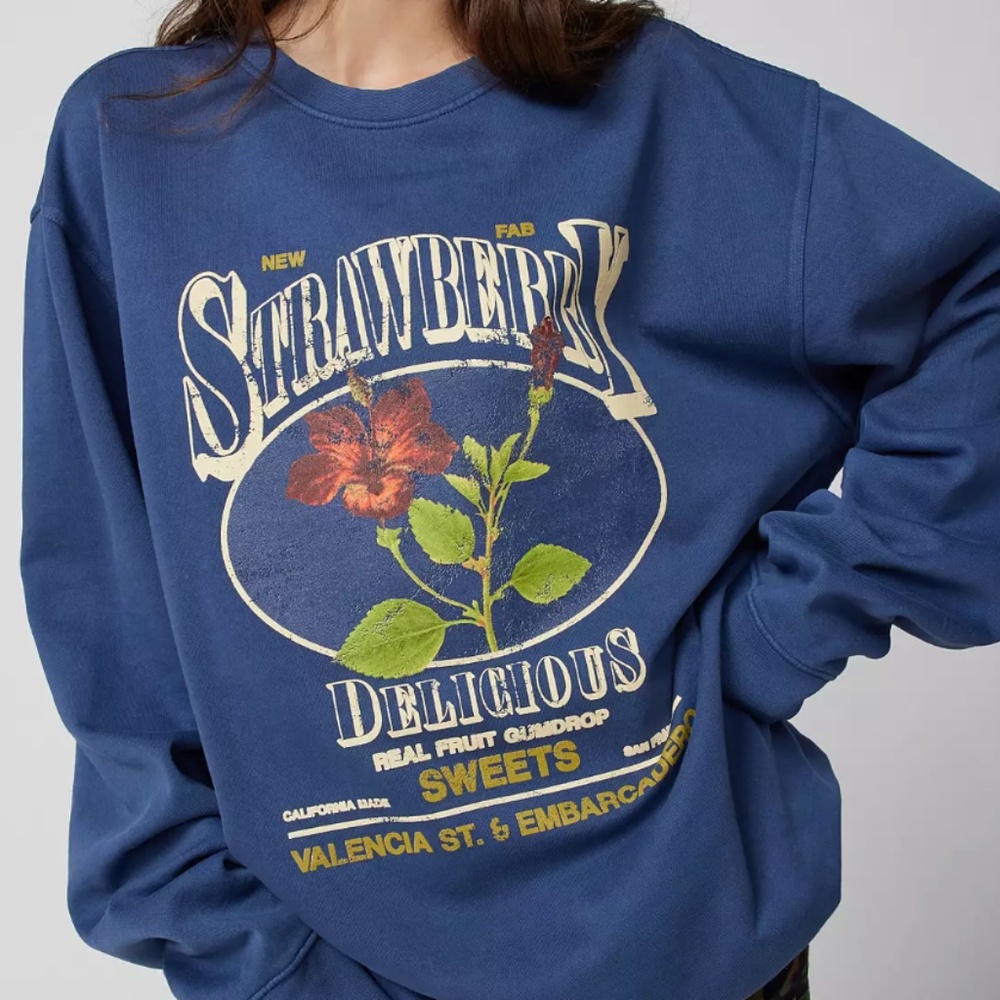 Urban Outfitters Strawberry Pullover Sweatshirt NWOT